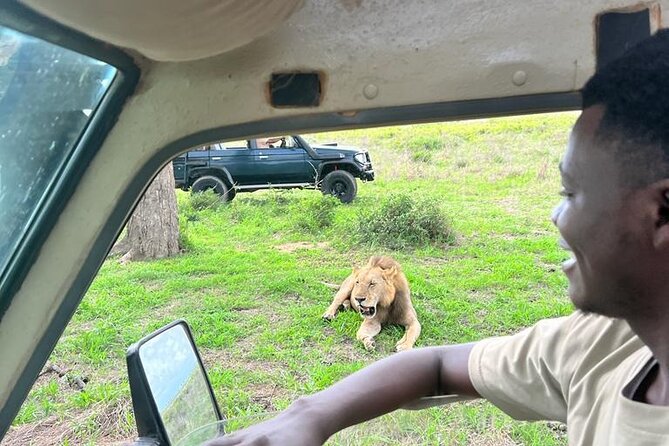 1. Day safaris to Mikumi by Train from dar es salaam - Key points at a glance