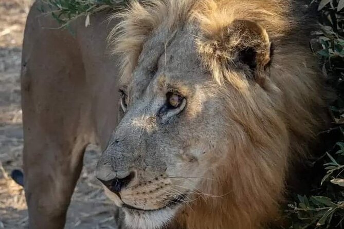 1. Day safaris to Mikumi by Train from dar es salaam - What the $370 price covers