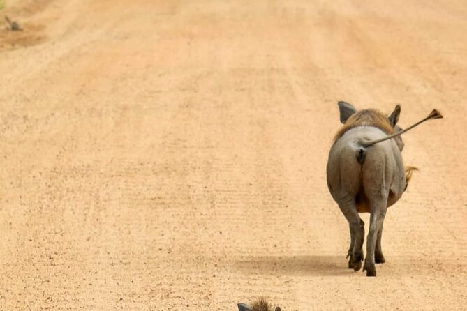 1. Day safaris to Mikumi by Train from dar es salaam - The early departure and Morogoro train ride
