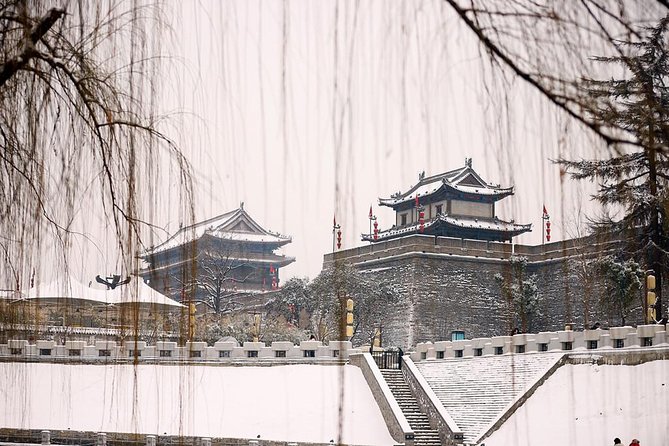 2-Day Private Classic Xi'an City Tour from Beijing by Bullet Train - Guides, private transport, and the value of personal service