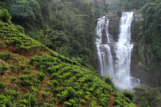 2 Day Tour of Yala & Ella with Hill Country Scenic Train Ride - All Inclusive - What the $340 package really gives you