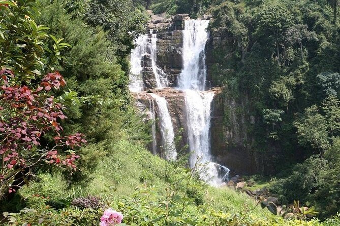 2 Day Tour of Yala & Ella with Hill Country Scenic Train Ride - All Inclusive - Nine Arch Bridge and Little Adam’s Peak