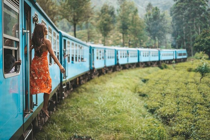 2 Day Tour of Yala & Ella with Hill Country Scenic Train Ride - All Inclusive - A short but scenic train ride on Day 2