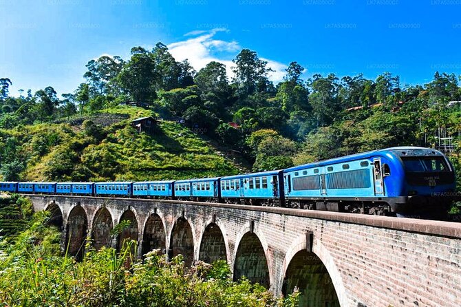 2 Day Tour of Yala & Ella with Hill Country Scenic Train Ride - All Inclusive - Who will get the most from this itinerary