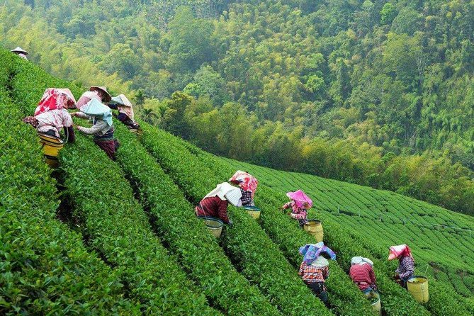2-Day Unlimited Private Trip to Suzhou and Hangzhou by Bullet Train from Shanghai - Why this two-day trip works from Shanghai