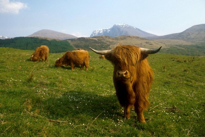3-Day Isle of Skye, 'Hogwarts Express' Train and Highlands Tour - Day two: the Old Man of Storr and Kilt Rock