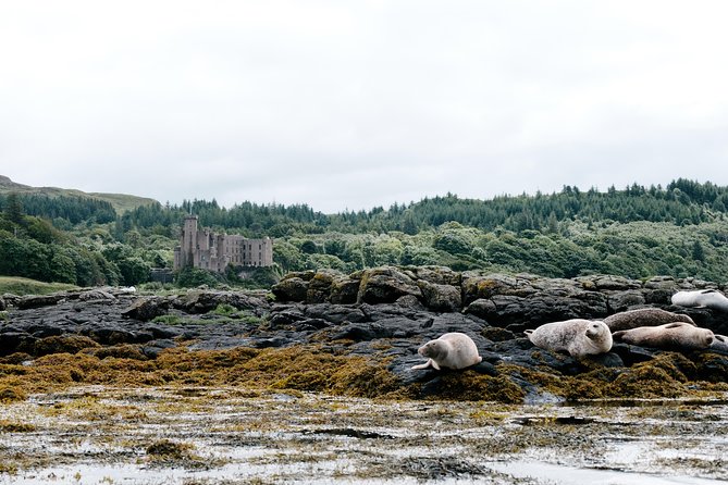 3-Day Isle of Skye, 'Hogwarts Express' Train and Highlands Tour - What the long coach hours feel like