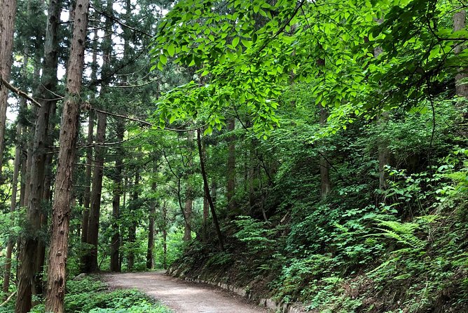3-Day Private Tokyo and Nagano: Snow Monkeys, Tsukiji Market and Bullet Train - The bullet train makes Nagano possible in three days