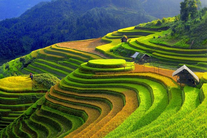3 Days Sapa Tour with Night Train from Hanoi - The first trekking day in Sapa