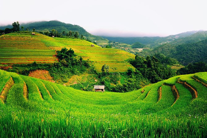 3 Days Sapa Tour with Night Train from Hanoi - Meals, lodging, and what the price covers
