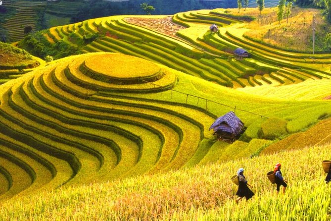 3 Days Sapa Tour with Night Train from Hanoi - How much walking should you expect?