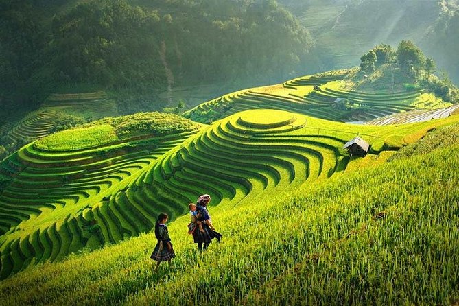3 Days Sapa Tour with Night Train from Hanoi - Who should book this Sapa trip?