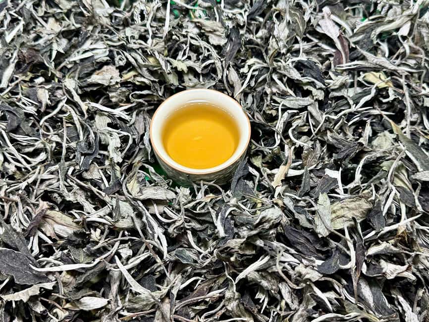 3 Hour Vietnam Tea & Egg Coffee Tasting With Train Street - A small Hanoi tea house near Hang Muoi