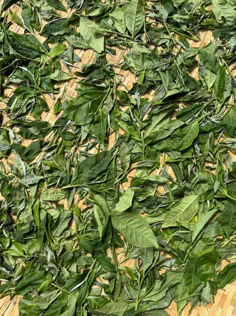 3 Hour Vietnam Tea & Egg Coffee Tasting With Train Street - The afternoon version, from 1:00 to 4:00