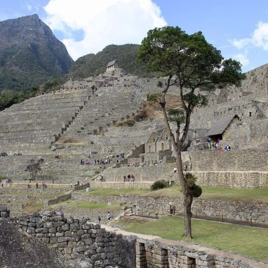 5-Day Classic Salkantay Trek to Machu Picchu return by Train - Day three: From Colpapampa into the jungle