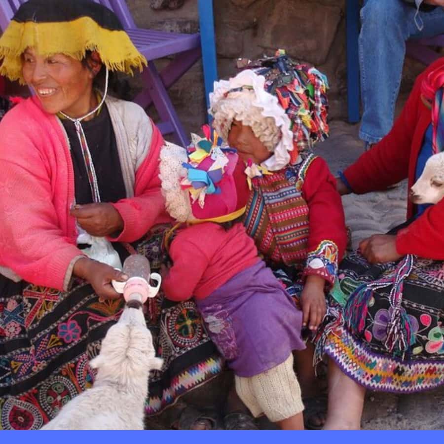 5-Day Classic Salkantay Trek to Machu Picchu return by Train - Day five: Machu Picchu, mountain options, and the train home