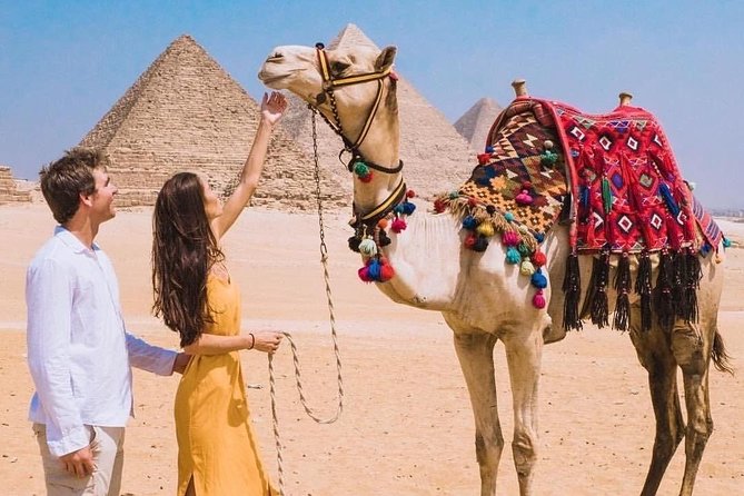 6 Days private package : Cairo to Luxor by train - Day 6: Departure with the transfer handled