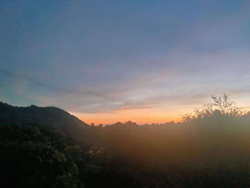 Afternoon Tour: Bamboo Train, Killing Cave &Bat Cave - The guides make the difference