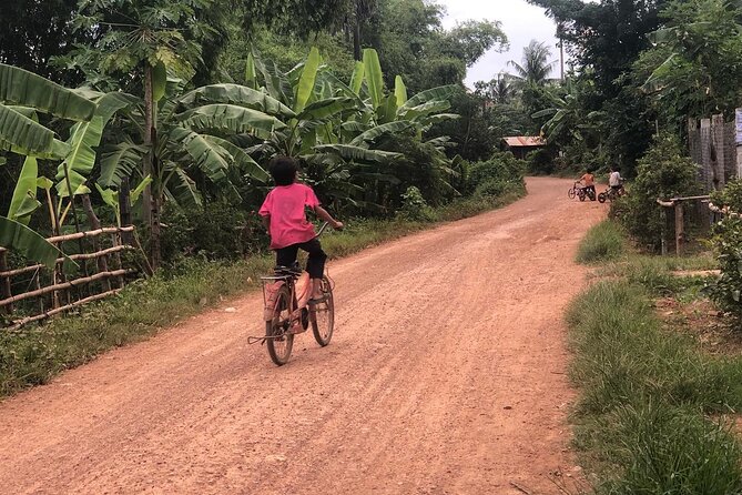 Afternoon tour by tuk tuk to bamboo train,bat cave,killing cave,countryside. - Riding the original bamboo train
