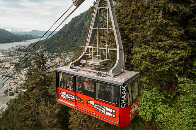 Alaska Native Tour and Tram Combo - What happens on a rainy Juneau day?