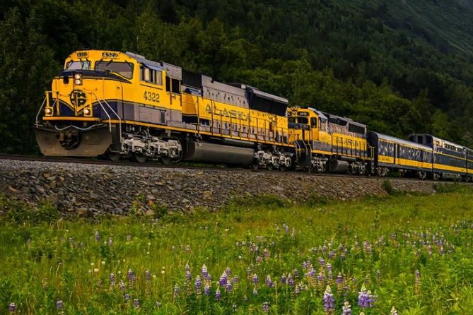 Alaska Railroad Anchorage to Seward One Way - Making the most of the four-and-a-half-hour ride