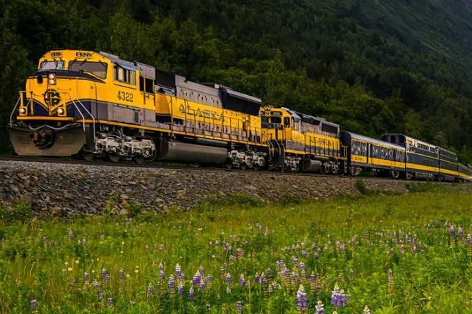 Alaska Railroad Anchorage to Seward Round-Trip Same Day Return - The 6 p.m. return to Anchorage
