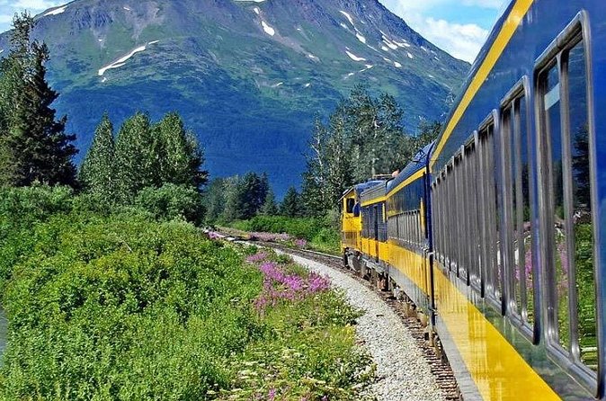 Alaska Railroad Anchorage to Seward Round-Trip Same Day Return - Who will enjoy this day most