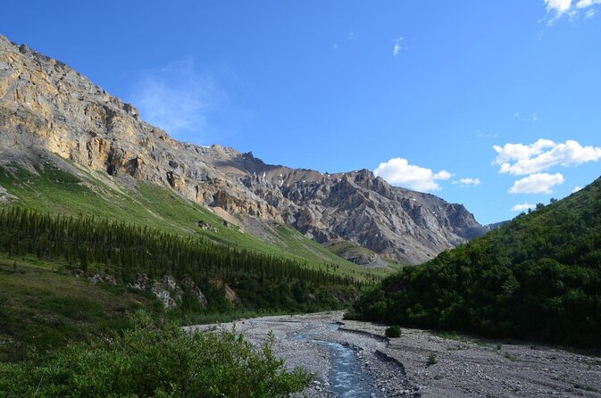 Alaska Railroad Fairbanks to Denali One Way - Key points to know before booking