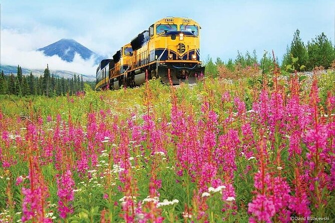 Alaska Railroad Fairbanks to Denali One Way - Who will get the most from this train ride