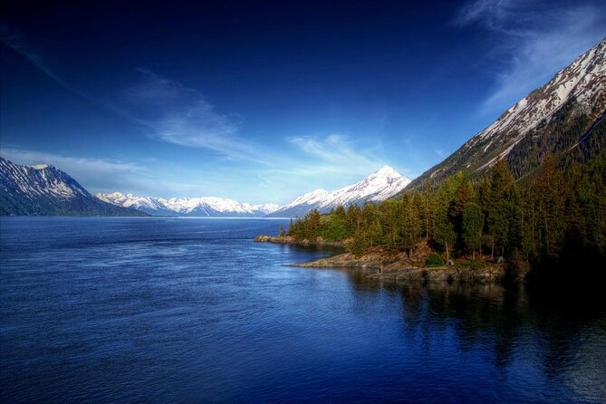 Alaska Wildlife Center and Turnagain Arm Tour w/Alyeska Tram - Key points to know before you book