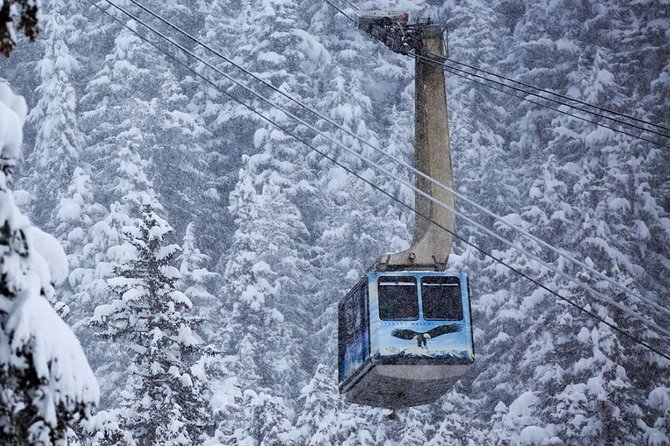 Alaska Wildlife Center and Turnagain Arm Tour w/Alyeska Tram - Girdwood gives you the day’s biggest choice