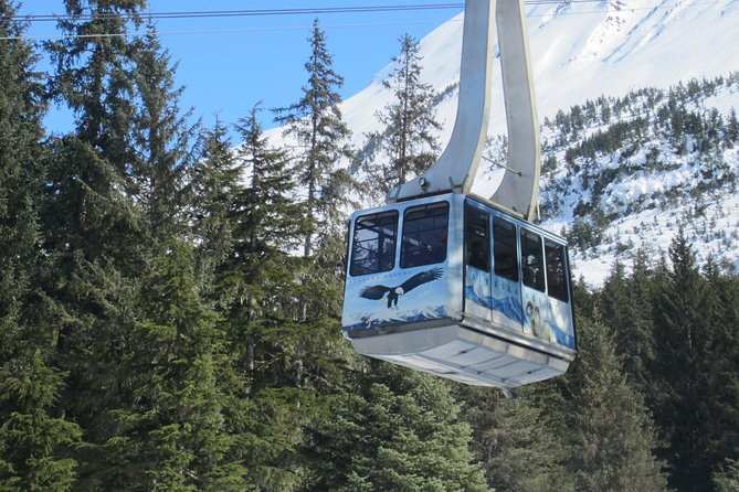 Alaska Wildlife Center and Turnagain Arm Tour w/Alyeska Tram - Turnagain Arm adds the scenic heart of the route