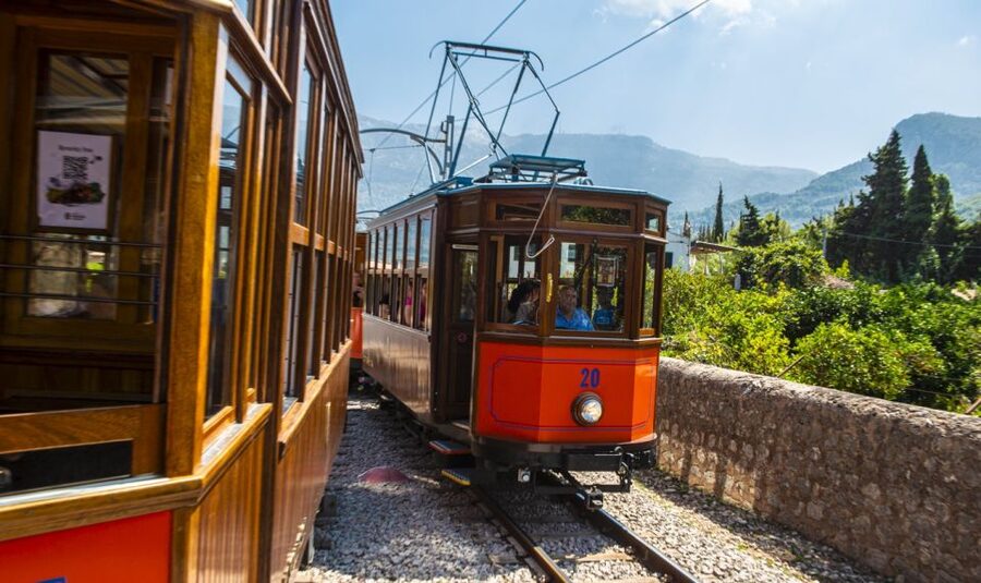 Alcudia/Marratxi: Valldemossa & Soller Tour by Tram & Bus - What the guide and driver add