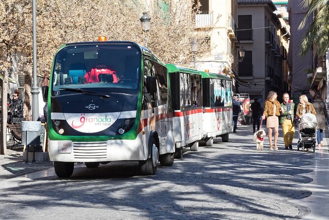 Alhambra tickets with Nasrid Palaces + Tourist Train - Why the Nasrid Palace time matters so much