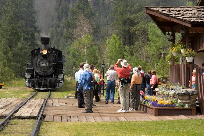 All-Day Guided Zipline Tour with Train Ride and Lunch in Durango - Old-growth Ponderosa forest lessons