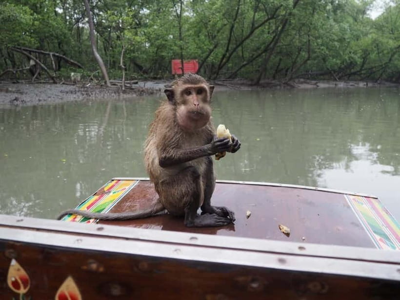All-in-One Market Experience: Railway & Floating Wonders - What the $170 price really buys