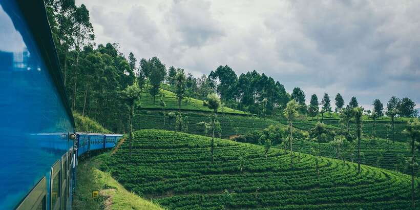 All Inclusive Ella From/To Kandy Scenic Train Journey - From hotel pickup to the platform