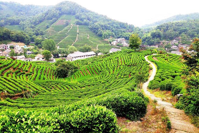 All-Inclusive Private Day Tour to Hangzhou by Bullet Train - How the transport and schedule work in real life