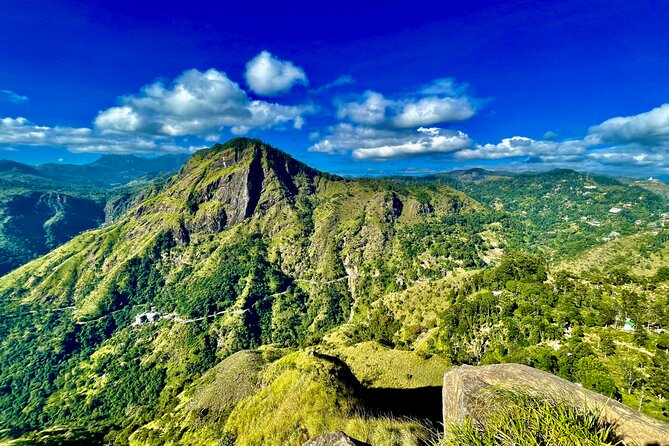 All inclusive private Ella Day Tour with Train Ride & Teafactory - What the $188.02 price covers