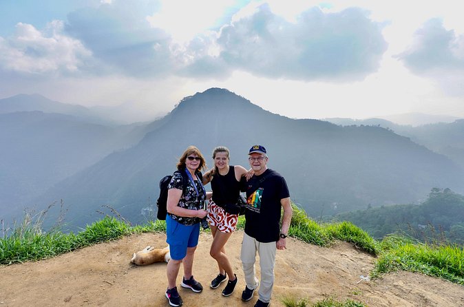 All inclusive private Ella Day Tour with Train Ride & Teafactory - Uva Halpewatte Tea Factory: from green hills to Ceylon tea