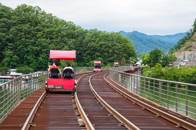Alpaca World and Nami Island with Gangchon Rail Bike Tour - Nami Island: beautiful paths, limited time