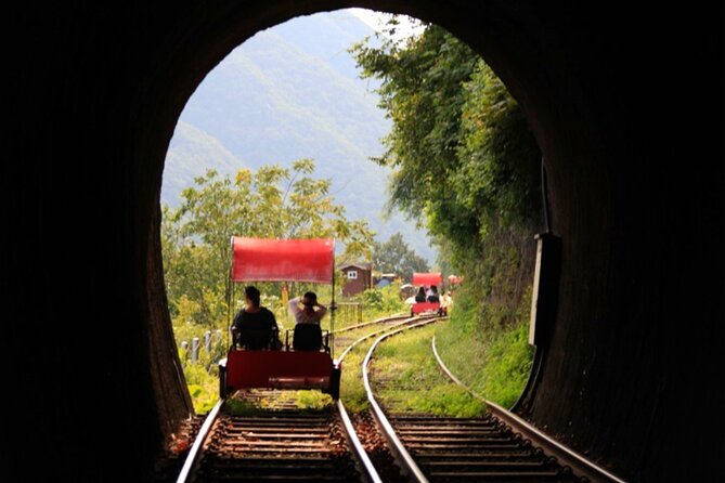 Alpaca World and Nami Island with Gangchon Rail Bike Tour - How the transport and group size shape the day