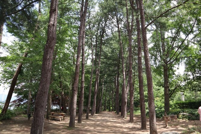Alpaca World and Nami Island with Gangchon Rail Bike Tour - Food, personal spending, and the real tour value