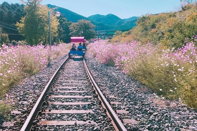 Alpaca World with Gangchon Rail Park One Day Tour - The guides can shape the day