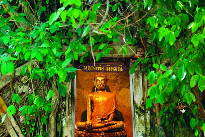 Amphawa Boat Ride & Railway Market: Multi-Lang Private Tour - Mae Klong Railway Market and its moving awnings
