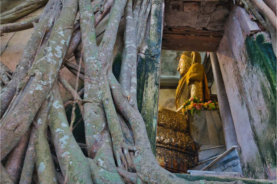 Amphawa & Railway Market & Boat Ride: from BKK - Wat Bang Kung and the chapel held by roots