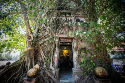 Amphawa & Railway Market & Boat Ride: from BKK