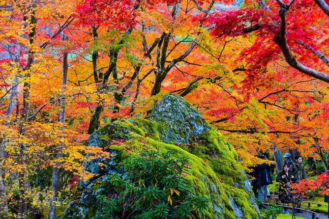 Arashiyama Walking Tour with Optional Sagano Romantic Train Ride - Why this four-hour Arashiyama route works