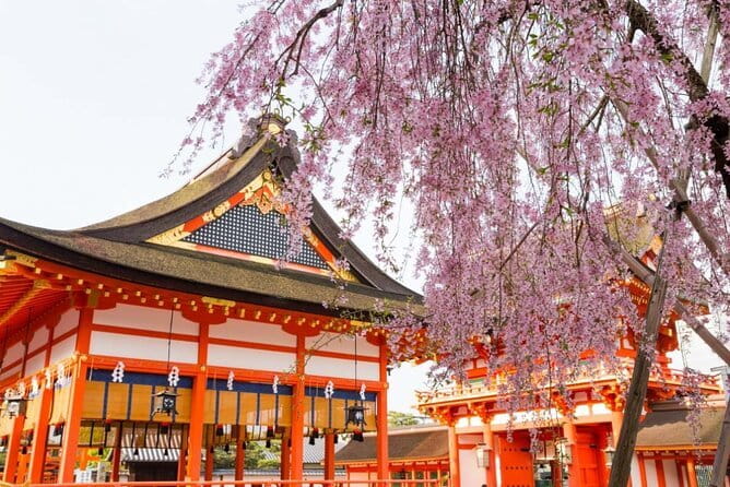 Arashiyama Walking Tour with Optional Sagano Romantic Train Ride - Kameyama Area park paths and a street food pause