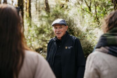 Arthur’s Pass Discovery and TranzAlpine Train – Small Group Tour
